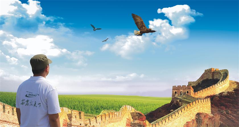 yp街机·电子游戏(中国)最新官网